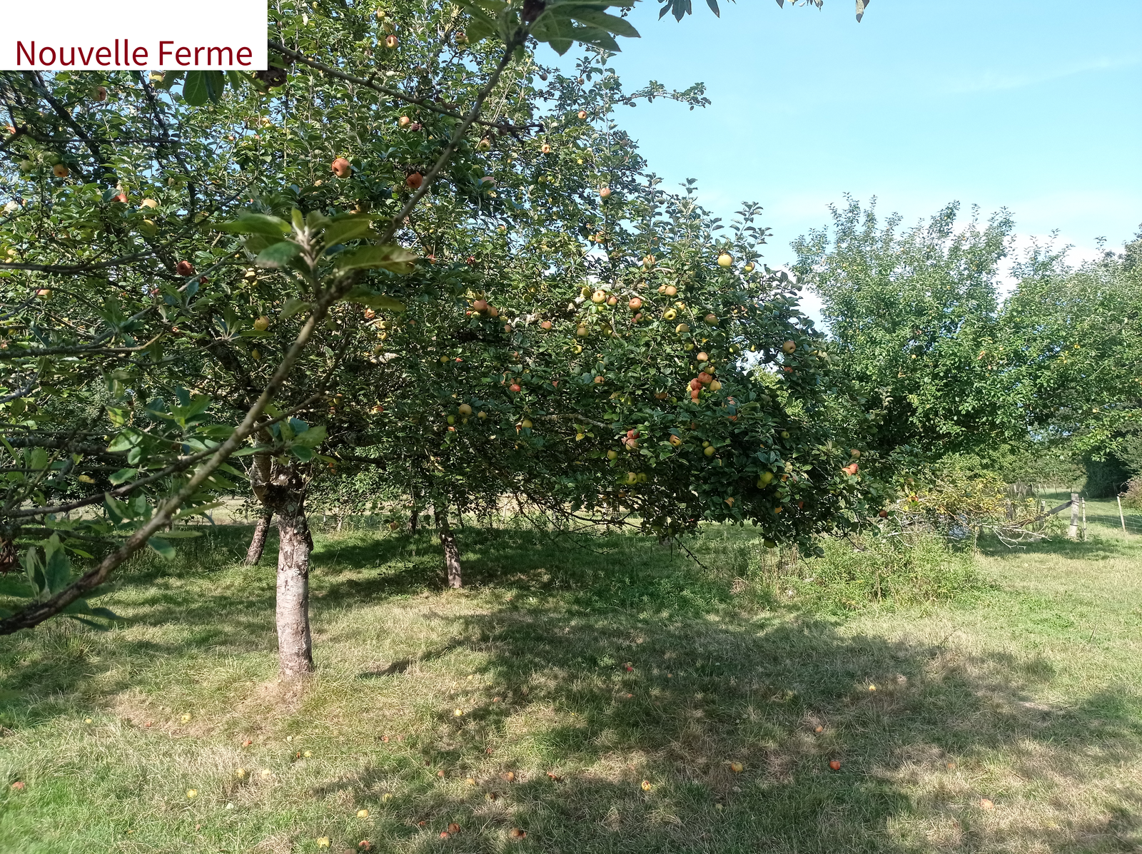 1724707120343_nouvelle ferme