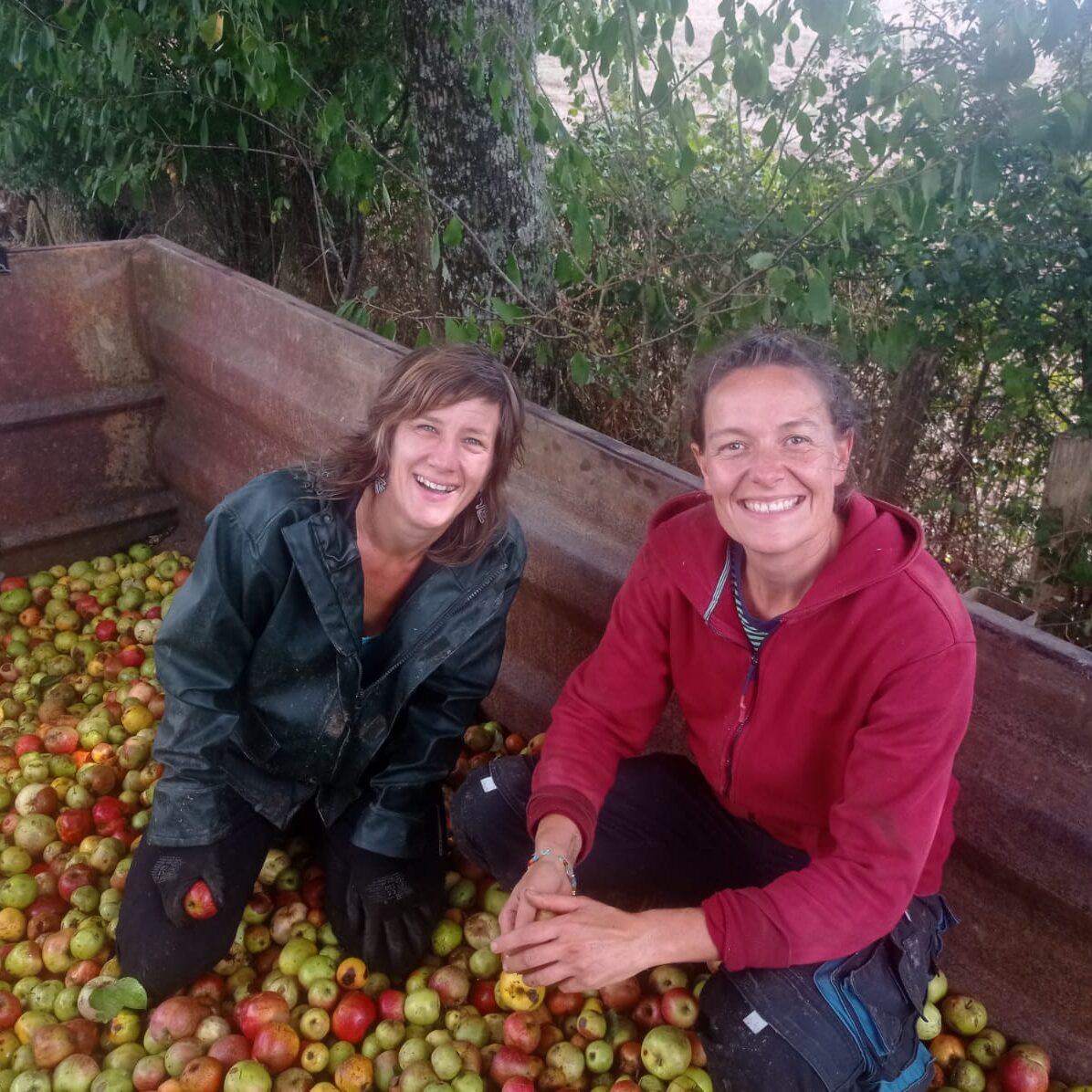 IMG-20250907-WA0003 IMG-20250907-WA0003