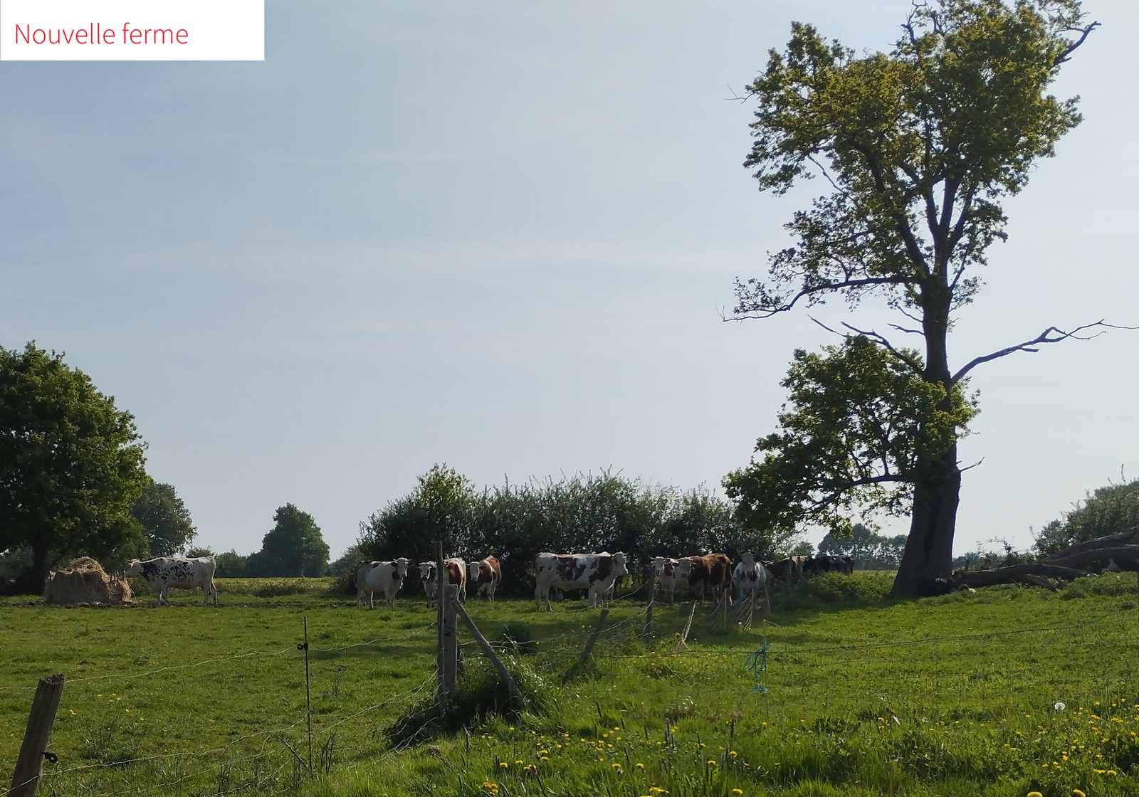 visite_Bellangerie_25042025_prairie_nouvelle ferme